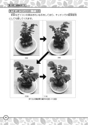 花・葉・実たのしい植物実験と観察のサンプル4