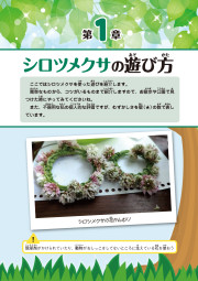 いつもの通り道がおもちゃ箱に！春夏秋冬の草花あそびのサンプル3