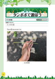 いつもの通り道がおもちゃ箱に！春夏秋冬の草花あそびのサンプル4